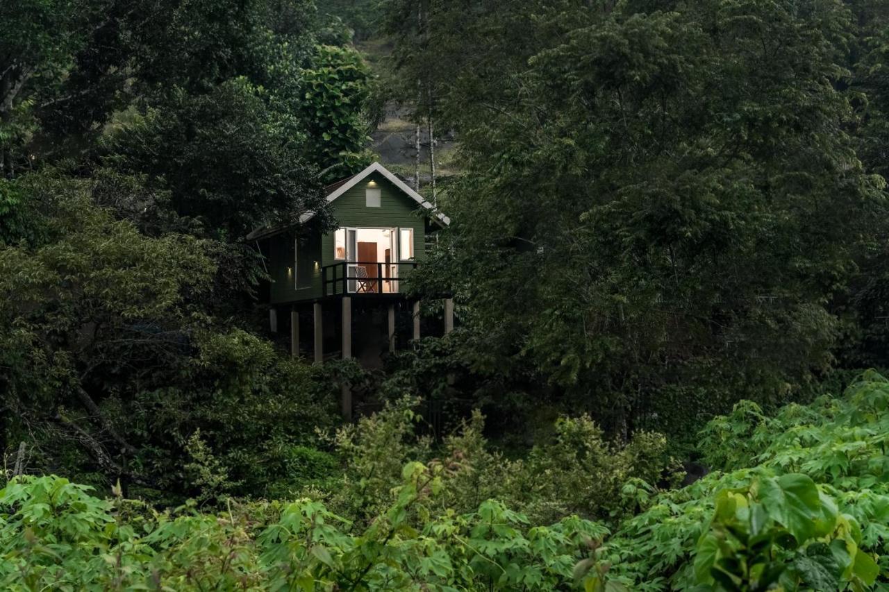 Iron Bridge Cove Villa Meppadi Exterior photo